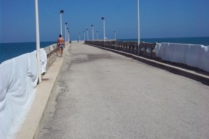 Roseto estate 2015 1